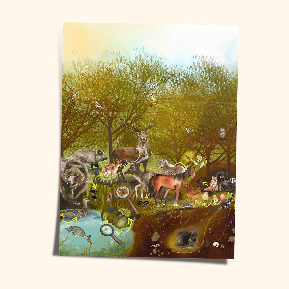 Costruzioni magnetiche COLORMAG CLEAR