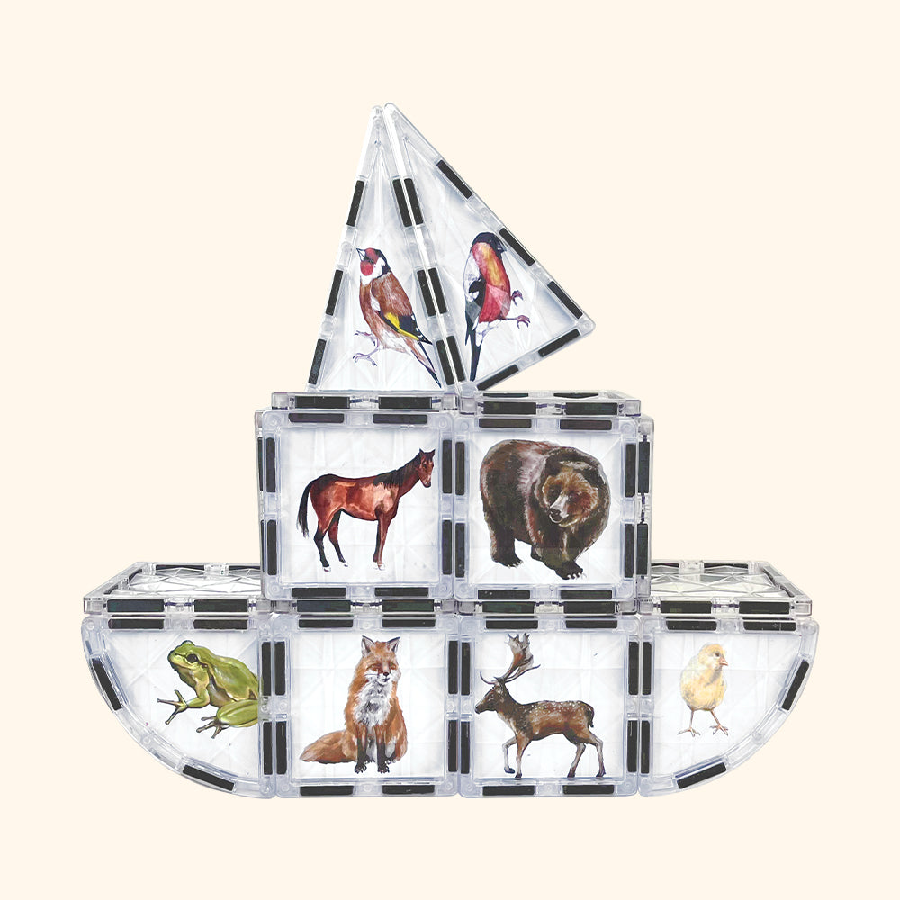 Costruzioni magnetiche COLORMAG CLEAR