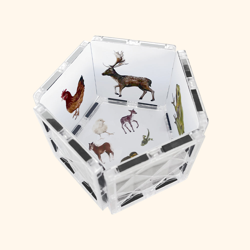 Costruzioni magnetiche COLORMAG CLEAR