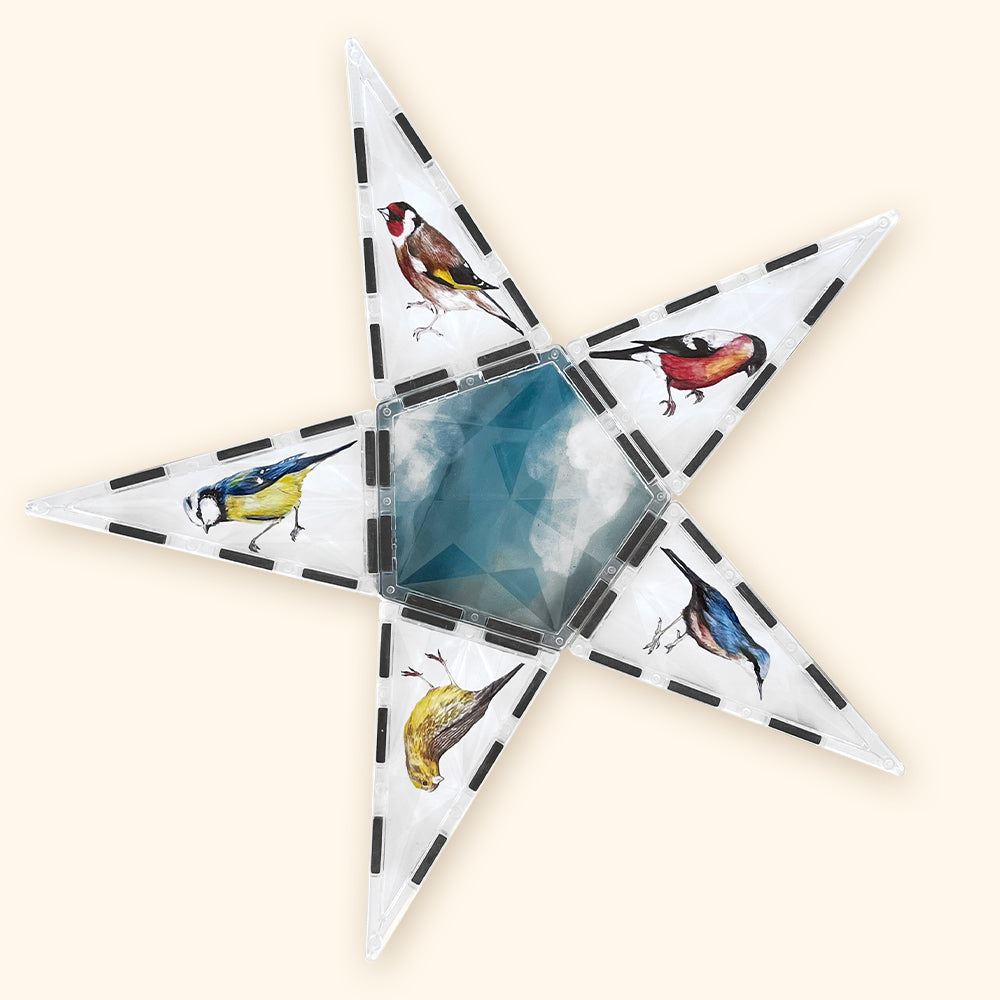 Costruzioni magnetiche COLORMAG CLEAR