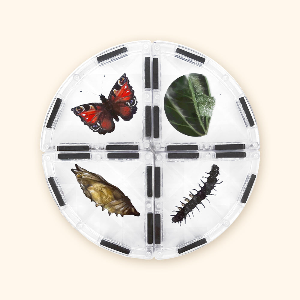 Costruzioni magnetiche COLORMAG CLEAR