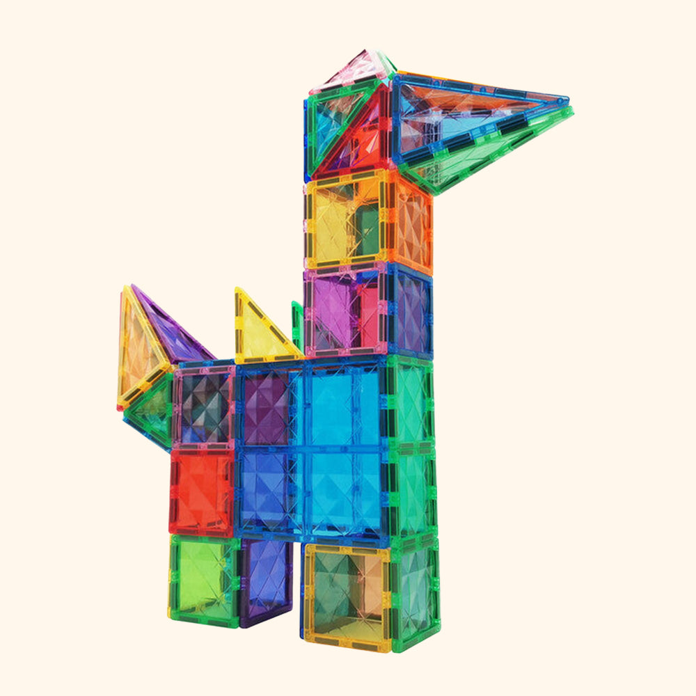 COLORMAG costruzioni magnetiche 100 pezzi