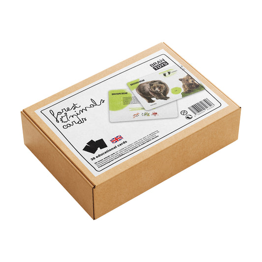 Set di Carte Educative: Animali del Bosco