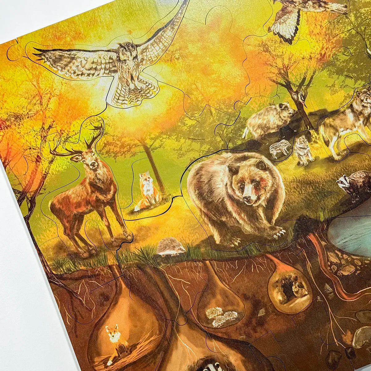 Puzzle da pavimento Bosco