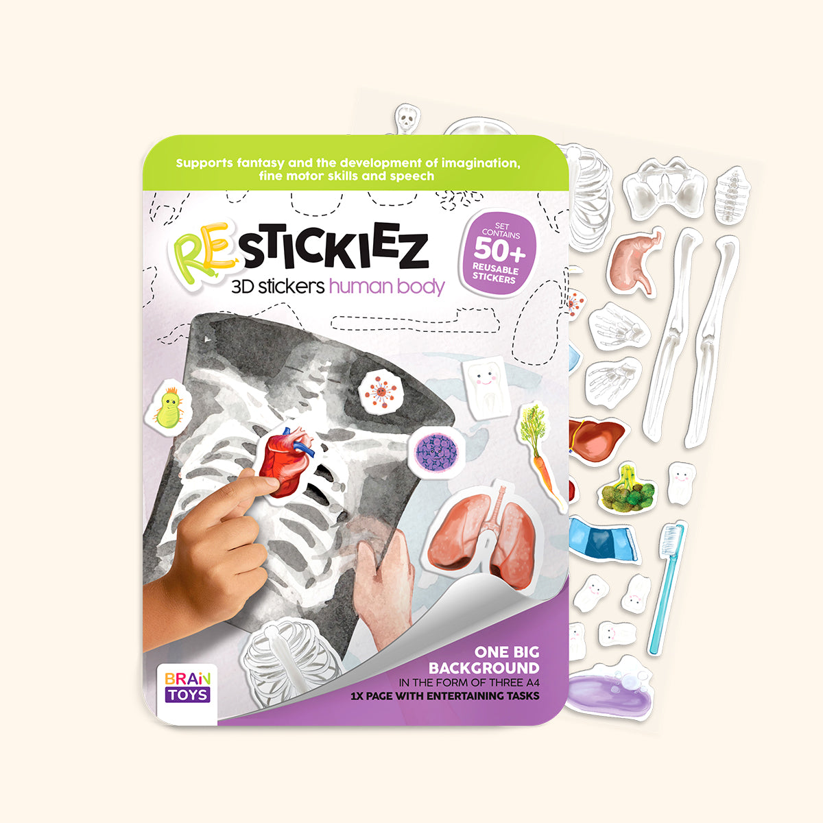 3D REstickiez - Corpo Umano