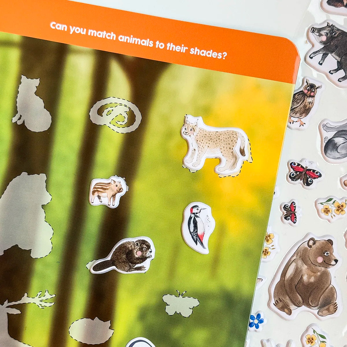 3D REstickiez - Bosco