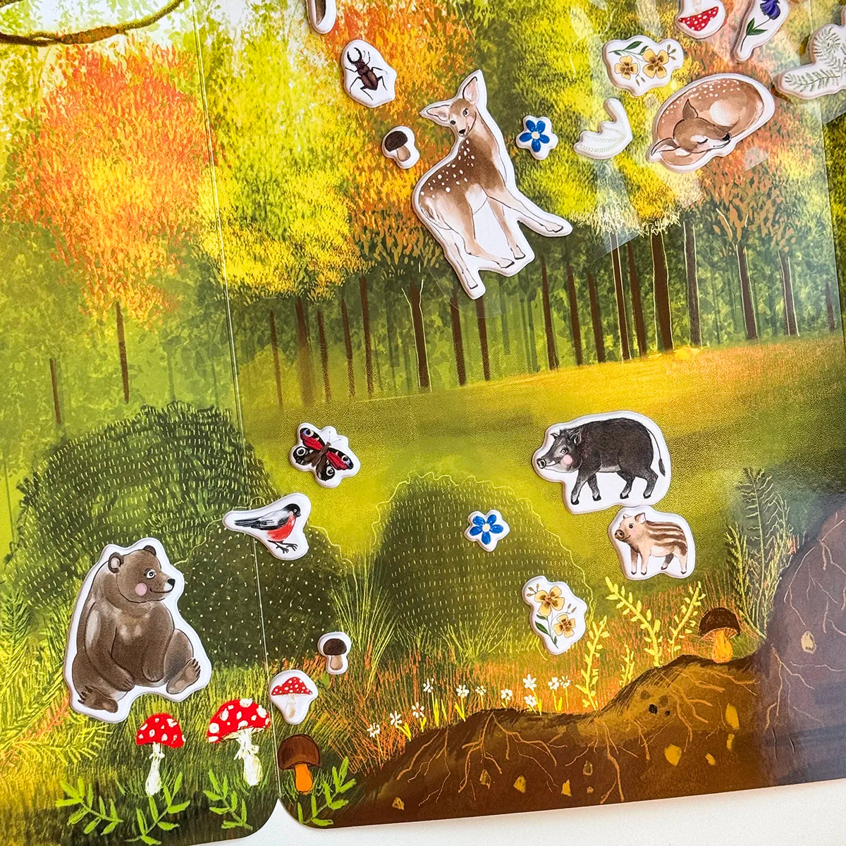 Set di 3D REstickiez -25%