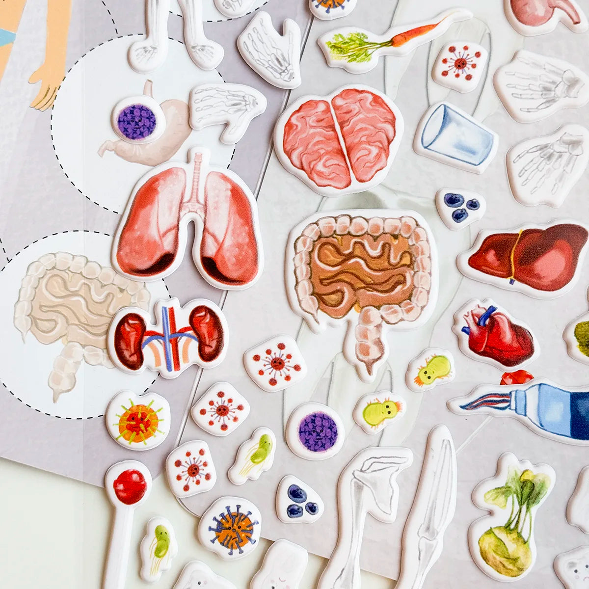 3D REstickiez - Corpo Umano