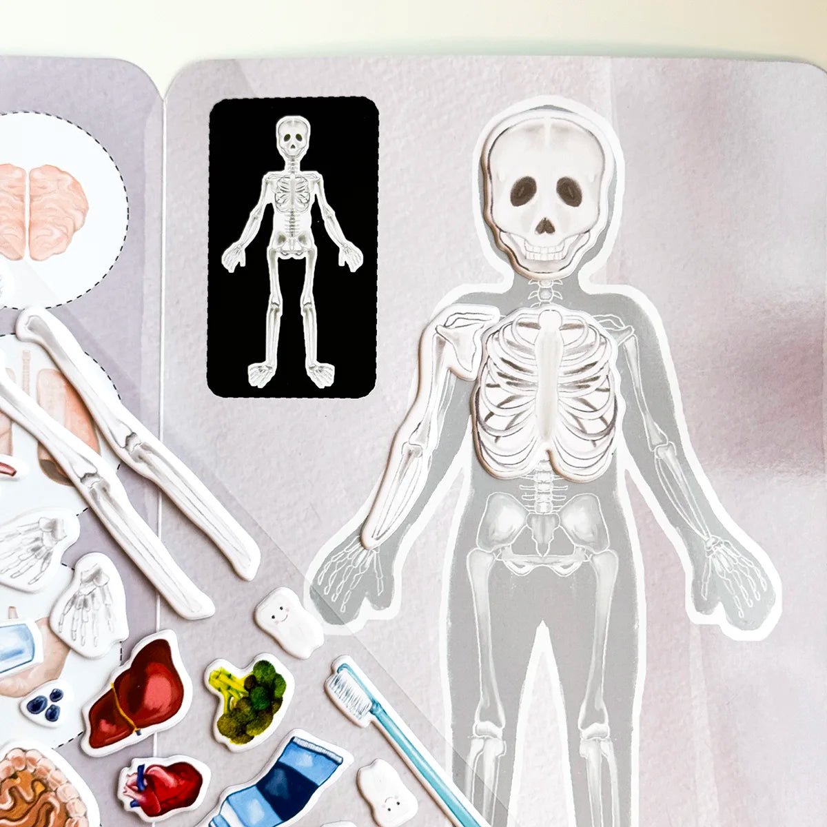 3D REstickiez - Corpo Umano