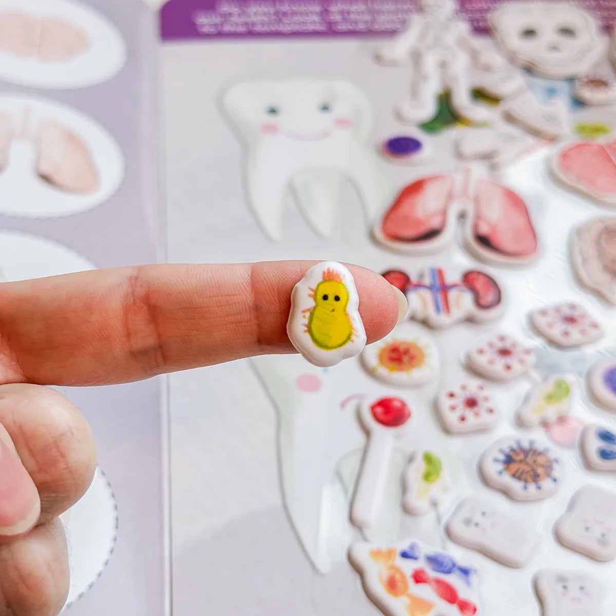 3D REstickiez - Corpo Umano