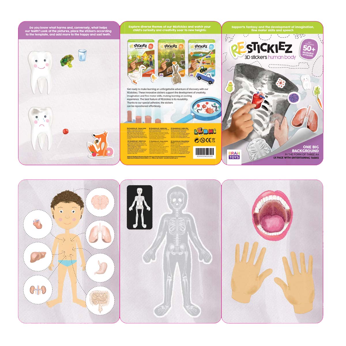 3D REstickiez - Corpo Umano