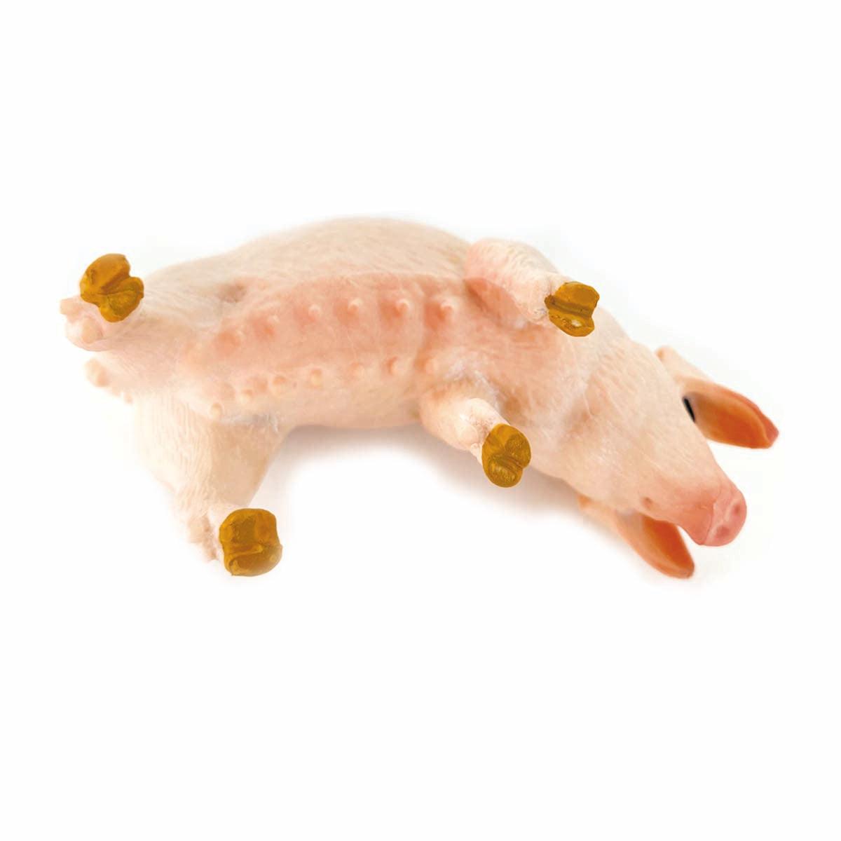 Set di Figure di Animali della Fattoria