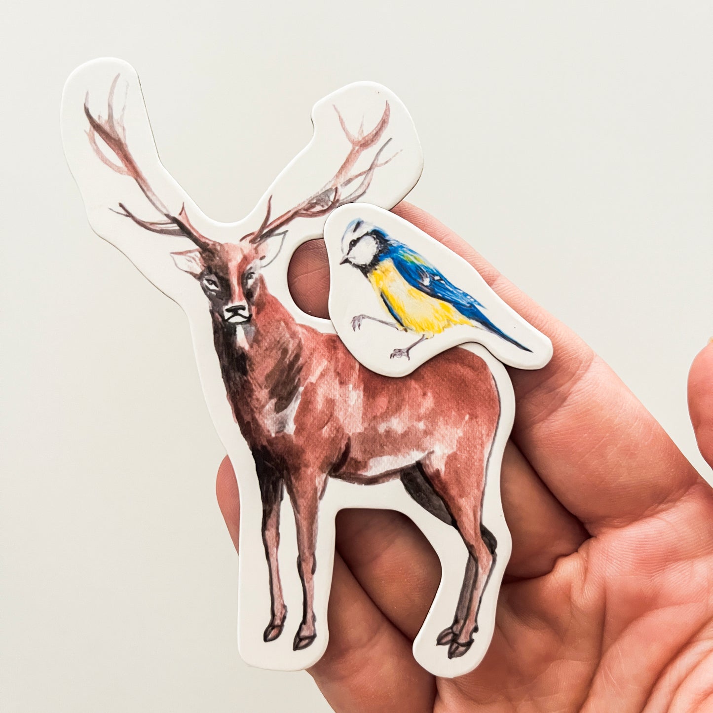 Magbook - Libro magnetico - Animali