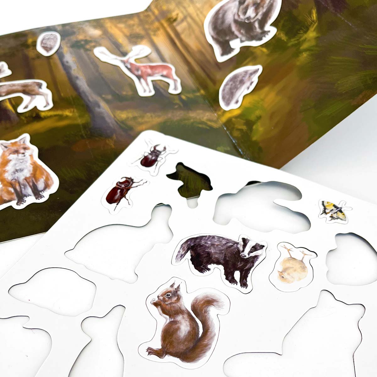 Set di 4 libri magnetici Magbook con uno sconto del 25%