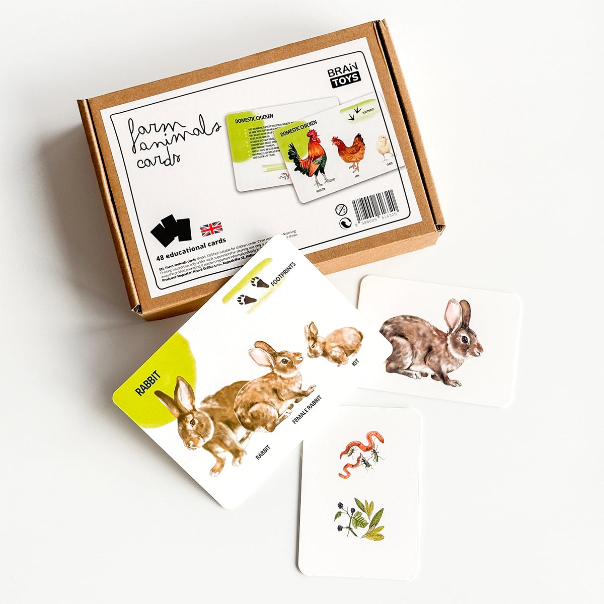  Set di Carte Educative: Animali della Fattoria