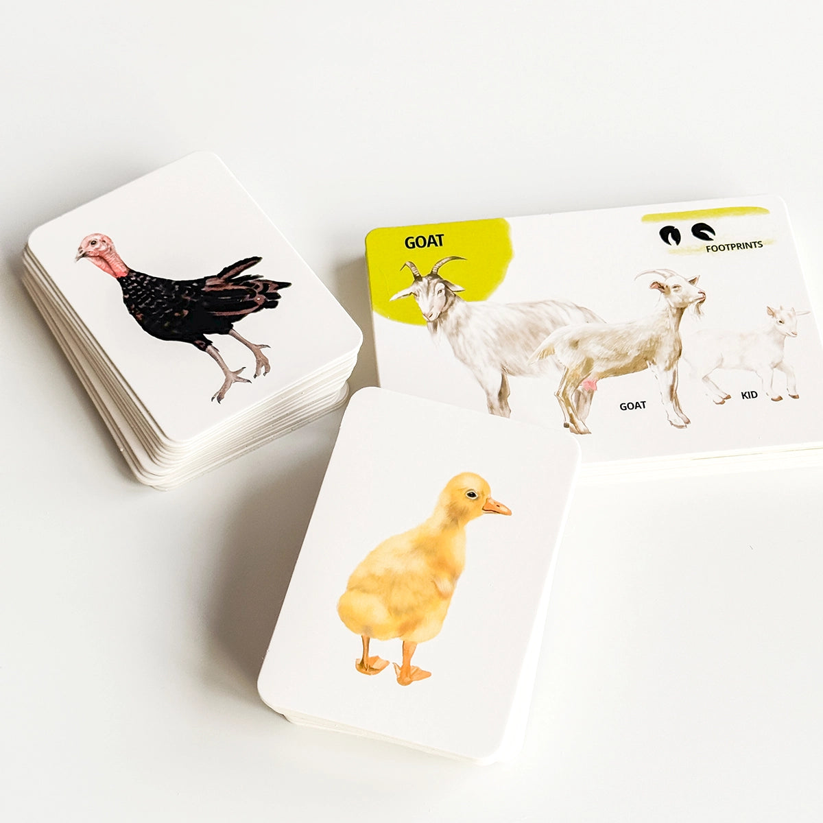  Set di Carte Educative: Animali della Fattoria