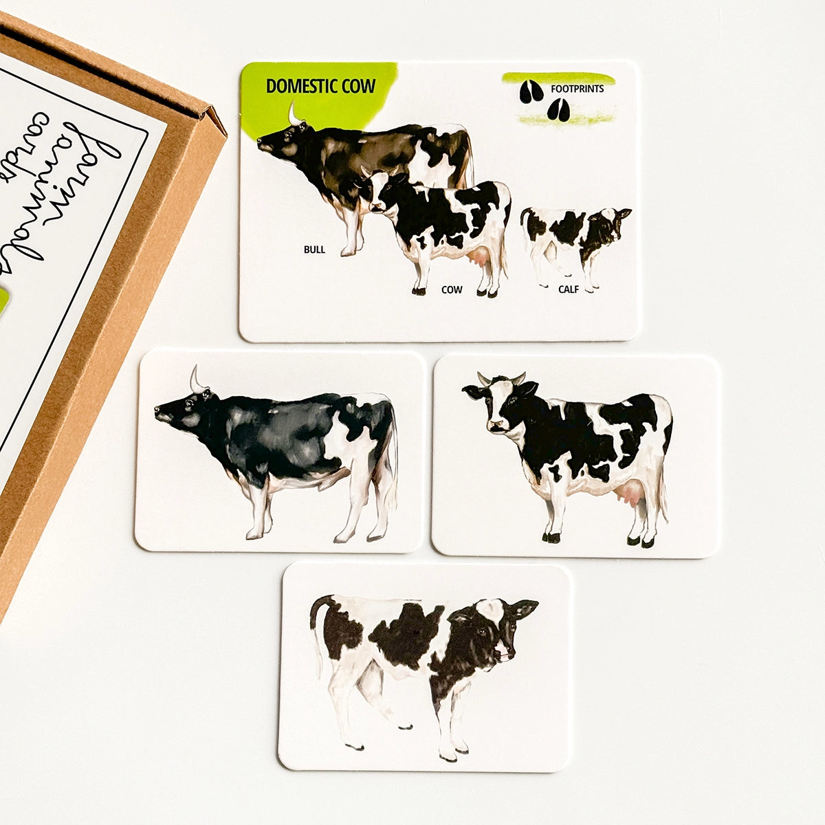 Set di Carte Educative: Animali della Fattoria