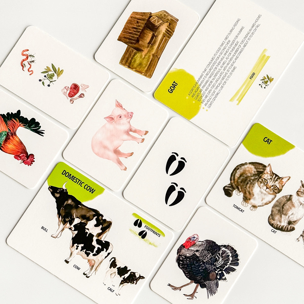  Set di Carte Educative: Animali della Fattoria