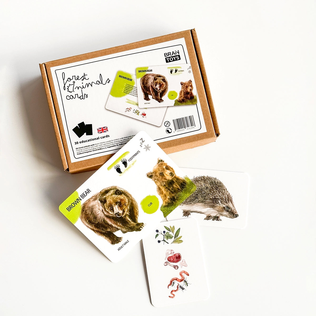 Set di Carte Educative: Animali del Bosco 