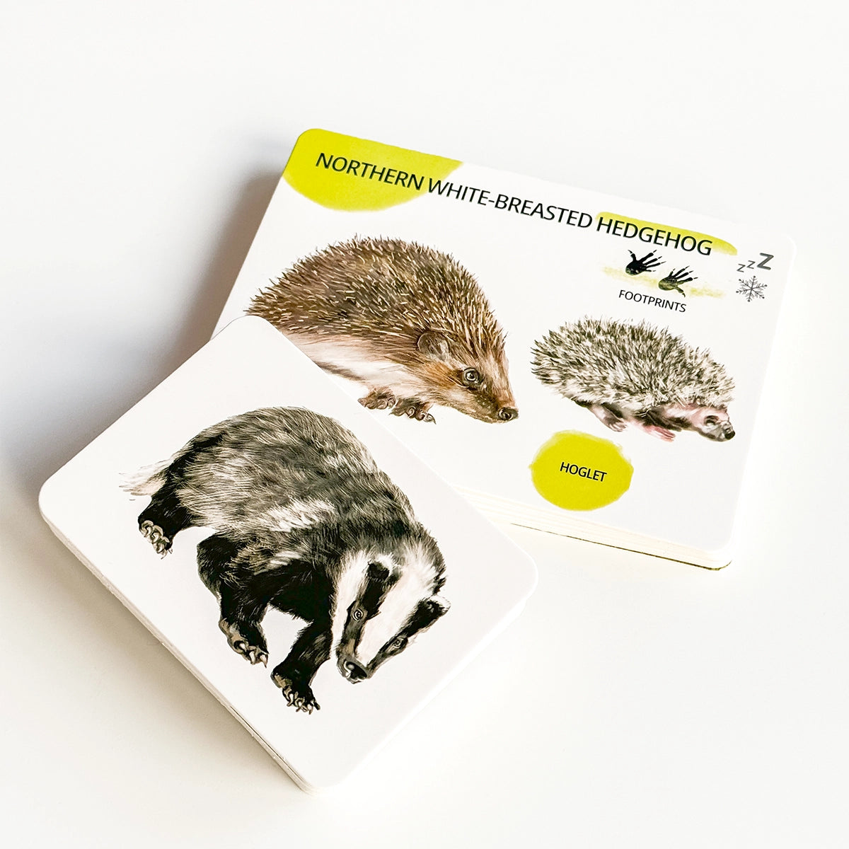 Set di Carte Educative: Animali del Bosco 
