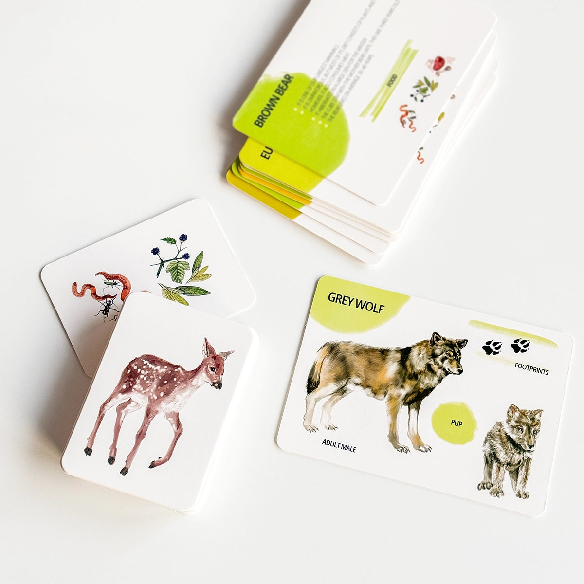 Set di Carte Educative: Animali del Bosco 
