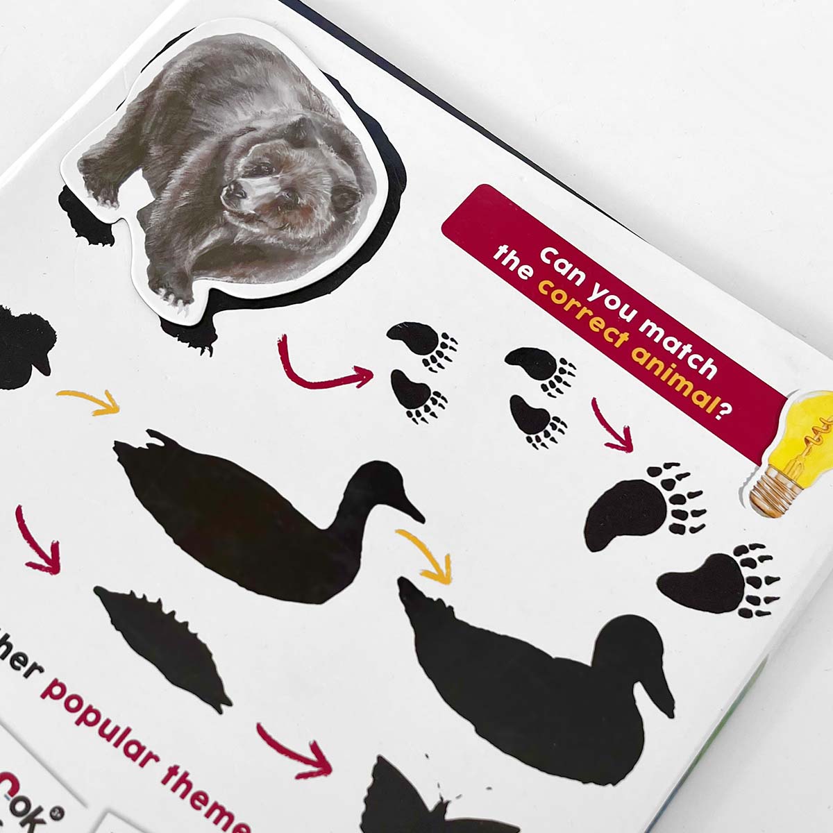 Magbook - Libro magnetico - Animali