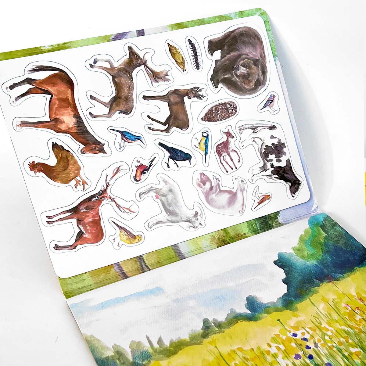 Magbook - Libro magnetico - Animali